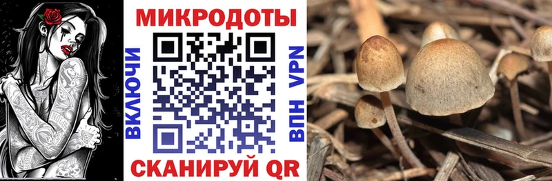 Псилоцибиновые грибы MAGIC MUSHROOMS  цена наркотик  Вихоревка 
